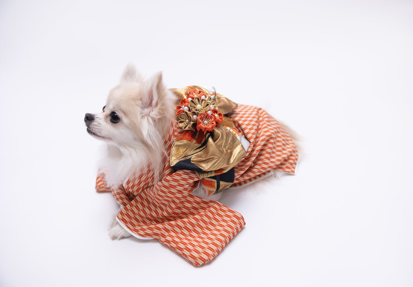 リバーシブル着物セット