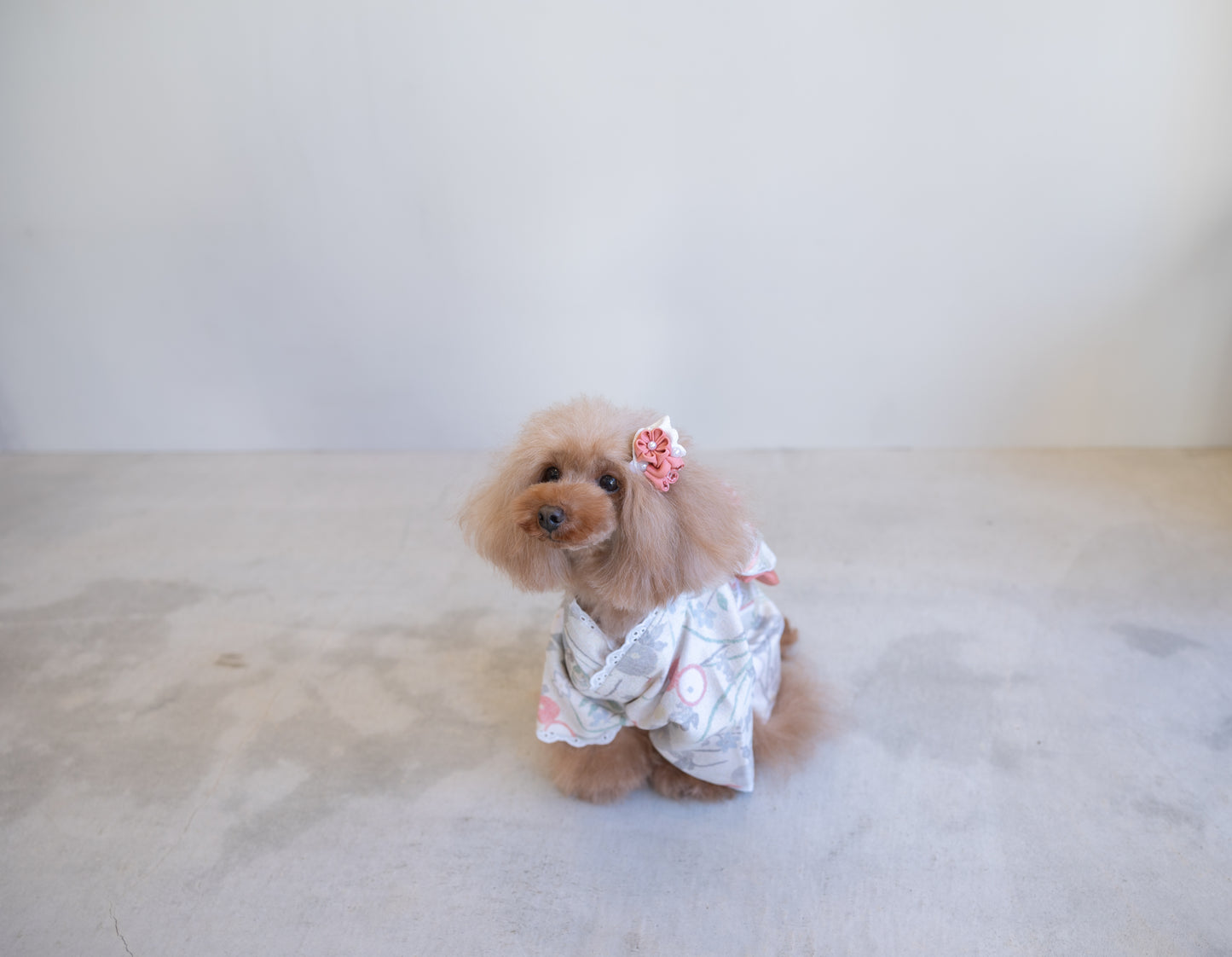 リバーシブル着物セット