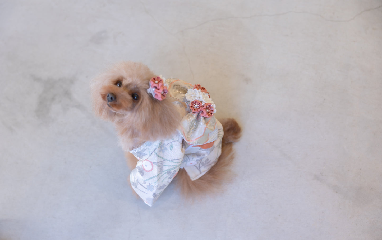 リバーシブル着物セット