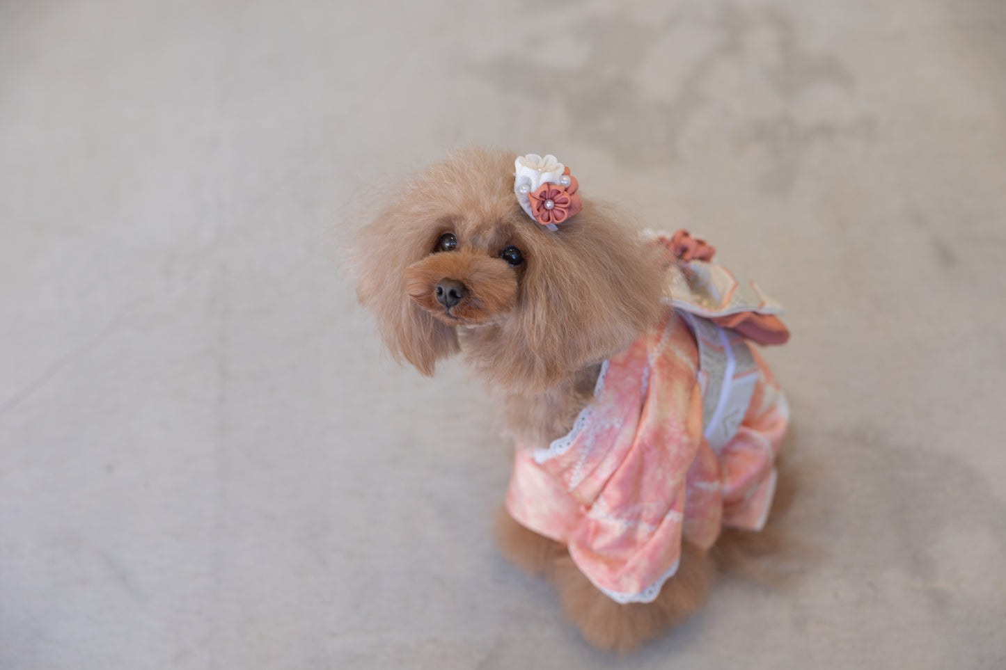 リバーシブル着物セット